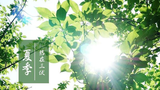 k8凯发官网，三伏临近不要太节俭记得多吃5种食物别舍不得健康过夏天